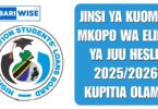 Jinsi Ya Kuomba Mkopo wa Elimu ya Juu HESLB 2025/2026 Kupitia OLAMS