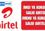 Jinsi ya Kukopa Salio Airtel (Menu Ya Kukopa Salio Airtel)