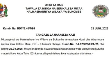 NAFASI 12 za Kazi Halmashauri ya Wilaya ya Bukombe