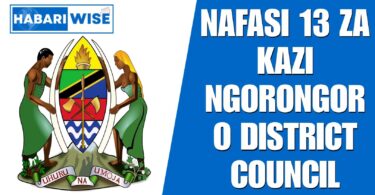NAFASI 13 za Kazi Ngorongoro District Council