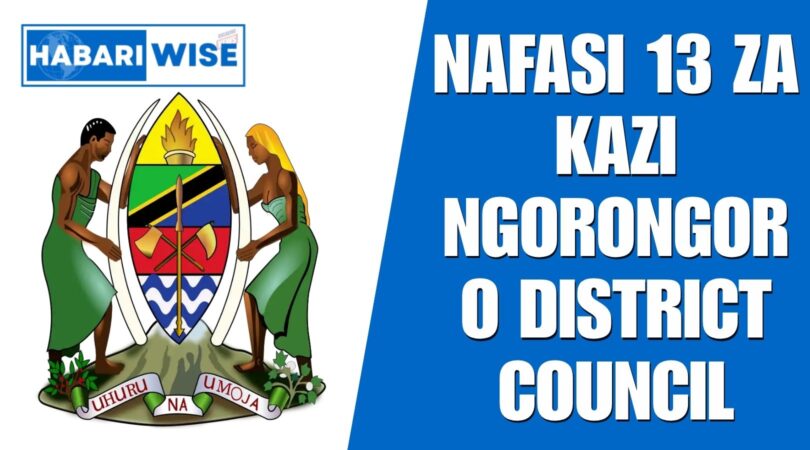 NAFASI 13 za Kazi Ngorongoro District Council