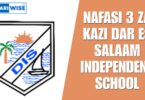 NAFASI 3 za Kazi Dar es Salaam Independent School