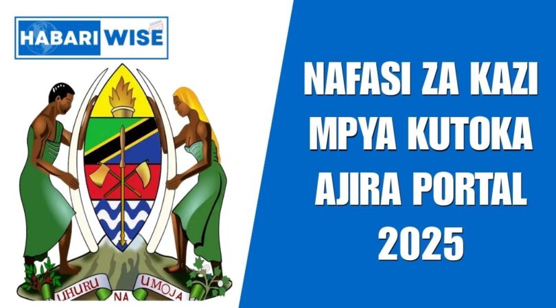 NAFASI za Kazi Kutoka Ajira Portal