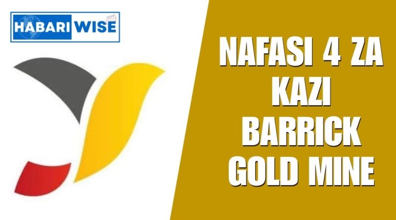 Nafasi ya Kazi Enabel Tanzania