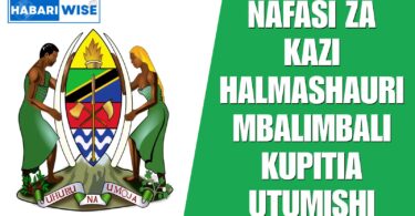 Nafasi za Kazi Halmashauri Mbalimbali Kupitia UTUMISHI 2025
