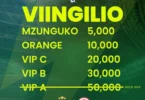 VIINGILIO Yanga vs Simba 25 June 2025
