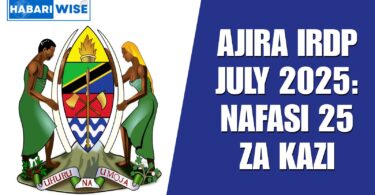 Ajira IRDP July 2025: Nafasi 25 za Kazi