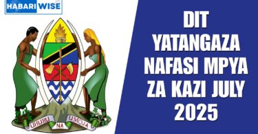 DIT Yatangaza Nafasi Mpya za Kazi July 2025