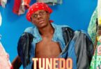 Dogo Rema – Inatokeaga | Download