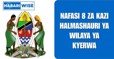 Nafasi 8 za Kazi Halmashauri ya Wilaya ya Kyerwa