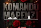 Aslam Tz – Komando Mapenzi Mp3 Download