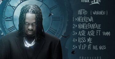 Lava Lava Ft Billnass – V.I.P Mp3 Download