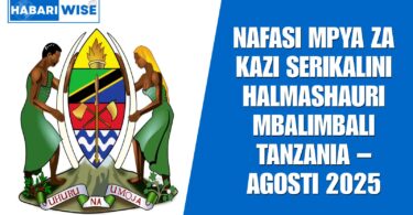Nafasi Mpya za Kazi Serikalini Halmashauri Mbalimbali Tanzania – Agosti 2025