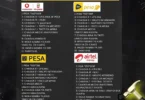 Jinsi ya Kununua Tiketi za Yanga Day 2025 kwa Simu