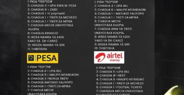 Jinsi ya Kununua Tiketi za Yanga Day 2025 kwa Simu