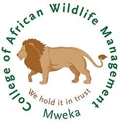 Majina Waliochaguliwa CAWM-Mweka 2025/2026