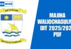 Majina Waliochaguliwa DIT 2025/2026