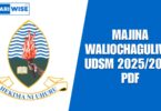 Majina Waliochaguliwa UDSM 2025/2026