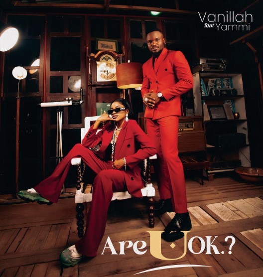 Vanillah Ft Yammi – Are U Ok | Mp3 Download