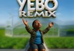 Dj Robby Fighter – Yebo Remix (Singeli) Mp3 Download