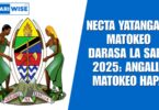 NECTA Yatangaza Matokeo Darasa la Saba 2025: Angalia Matokeo Hapa