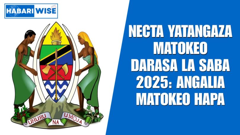 NECTA Yatangaza Matokeo Darasa la Saba 2025: Angalia Matokeo Hapa
